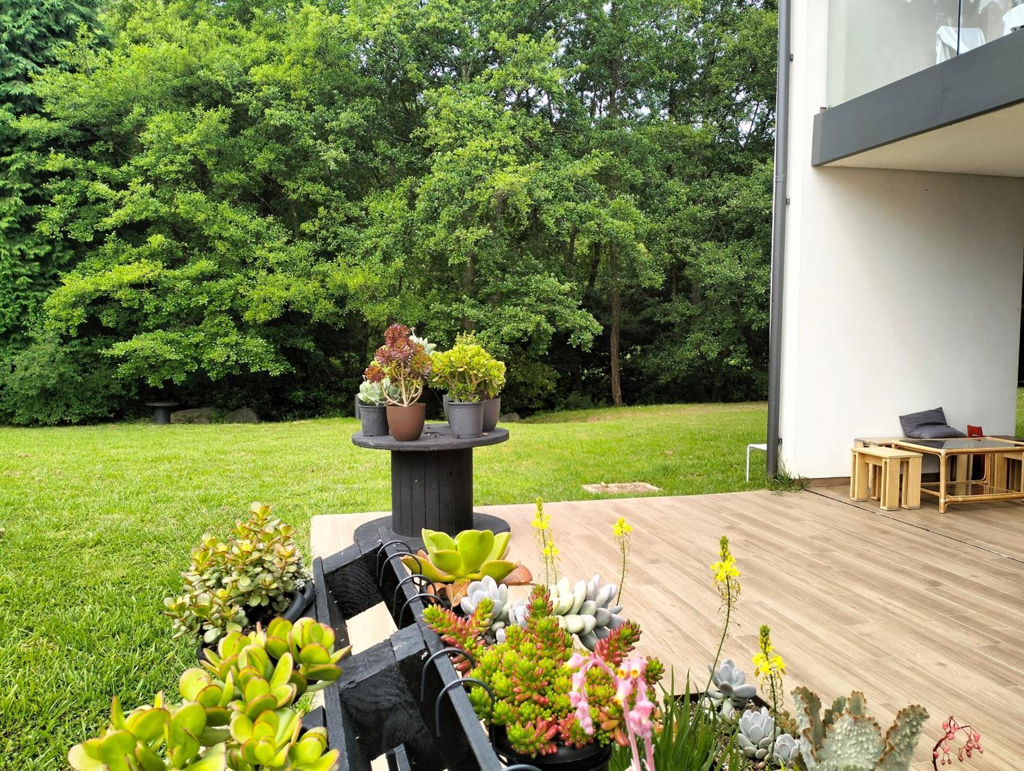 Agroturismo Araize Mungia Exterior foto